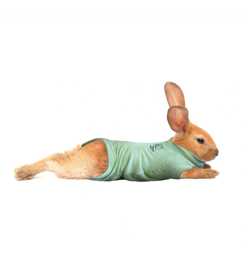 Medical Pet Shirt (Konijn) 2 Medical Pet Shirt (Konijn) - Afbeelding 2
