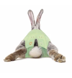 Medical Pet Shirt (Konijn) 5 Medical Pet Shirt (Konijn) -Huisdier Product Winkel medical pet shirt konijn groen 2