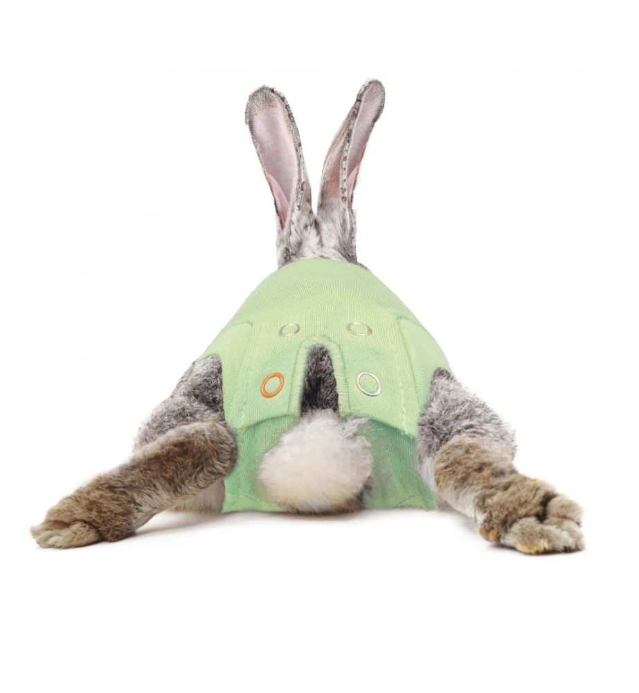 Medical Pet Shirt (Konijn) 3 Medical Pet Shirt (Konijn) - Afbeelding 3