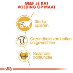 Royal Canin British Shorthair 34 - Kattenvoer - 4kg -Huisdier Product Winkel rc fbn britishsh cv eretailkit 3 nl nl 1