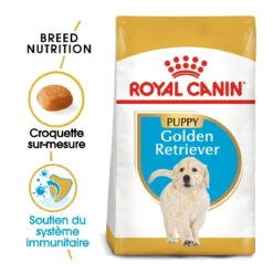 Royal Canin Golden Retriever Puppy - Hondenvoer - 12kg 9 Royal Canin Golden Retriever Puppy - Hondenvoer - 12kg -Huisdier Product Winkel royal canin golden retriever puppy golden retriever junior 1