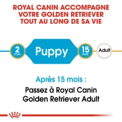 Royal Canin Golden Retriever Puppy - Hondenvoer - 12kg 11 Royal Canin Golden Retriever Puppy - Hondenvoer - 12kg -Huisdier Product Winkel royal canin golden retriever puppy golden retriever junior 3