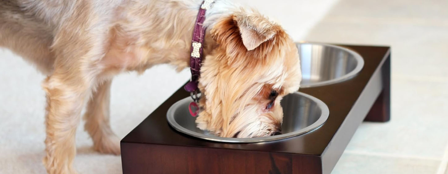 Huisdier Product Winkel 3 Huisdier Product Winkel -Huisdier Product Winkel ujkuj