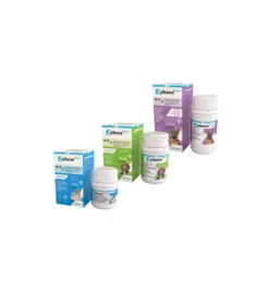 Vetoquinol Zylkene Plus 75 Mg Hond & Kat (-10 Kg) - 30 Capsules 5 Vetoquinol Zylkene Plus 75 Mg Hond & Kat (-10 Kg) - 30 Capsules -Huisdier Product Winkel zylkene plus 75 mg hond kat 10 kg 30 capsules 2